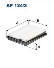 FILTRON AP124/3 Hava Filtresi 16546-4EA0C