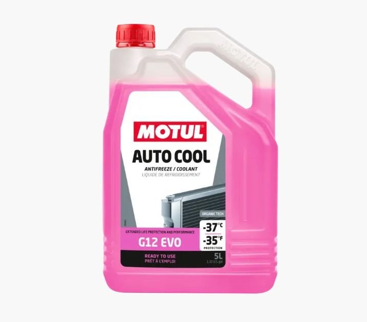 Motul 112648 Auto Cool G12 EVO -37°C 5L Pembe Antifiriz