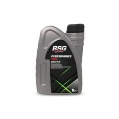 BSG/Performance Max 0W20 - 1 LT