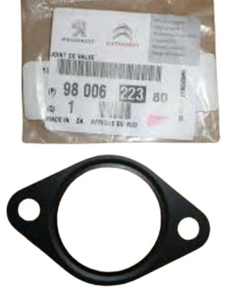 Fiat Ducato Egr Contası 9800622380