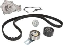 INA 530069830 Su pompası + Triger kayışı seti FM5Q 8B596 AB