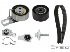 INA 530069830 Su pompası + Triger kayışı seti FM5Q 8B596 AB