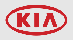 Kia Sportage Arka Kapı Menteşe Üst Sağ 79420D8000
