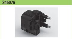 VALEO  VL245076  MEGANE /S40 Ateşleme Bobin 7701041607 : 245076