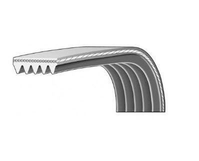 Kanallı V Kayışı  GM 55562866 / 6PK1903