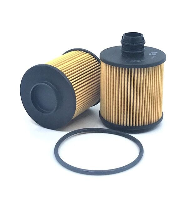 FUJI FEO10121 Yağ Filtresi 7175420000000