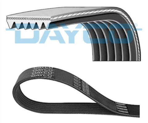 DAYCO 6PK1460 V Kayışı 1S4Q 6C301 AA / 1133958