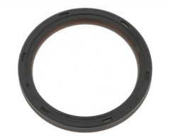 CORTECO 82035976 Krank Kecesi N13B16A (61X75X8)