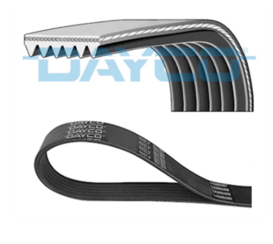 Kanallı V Kayışı  | DAYCO 6PK1560