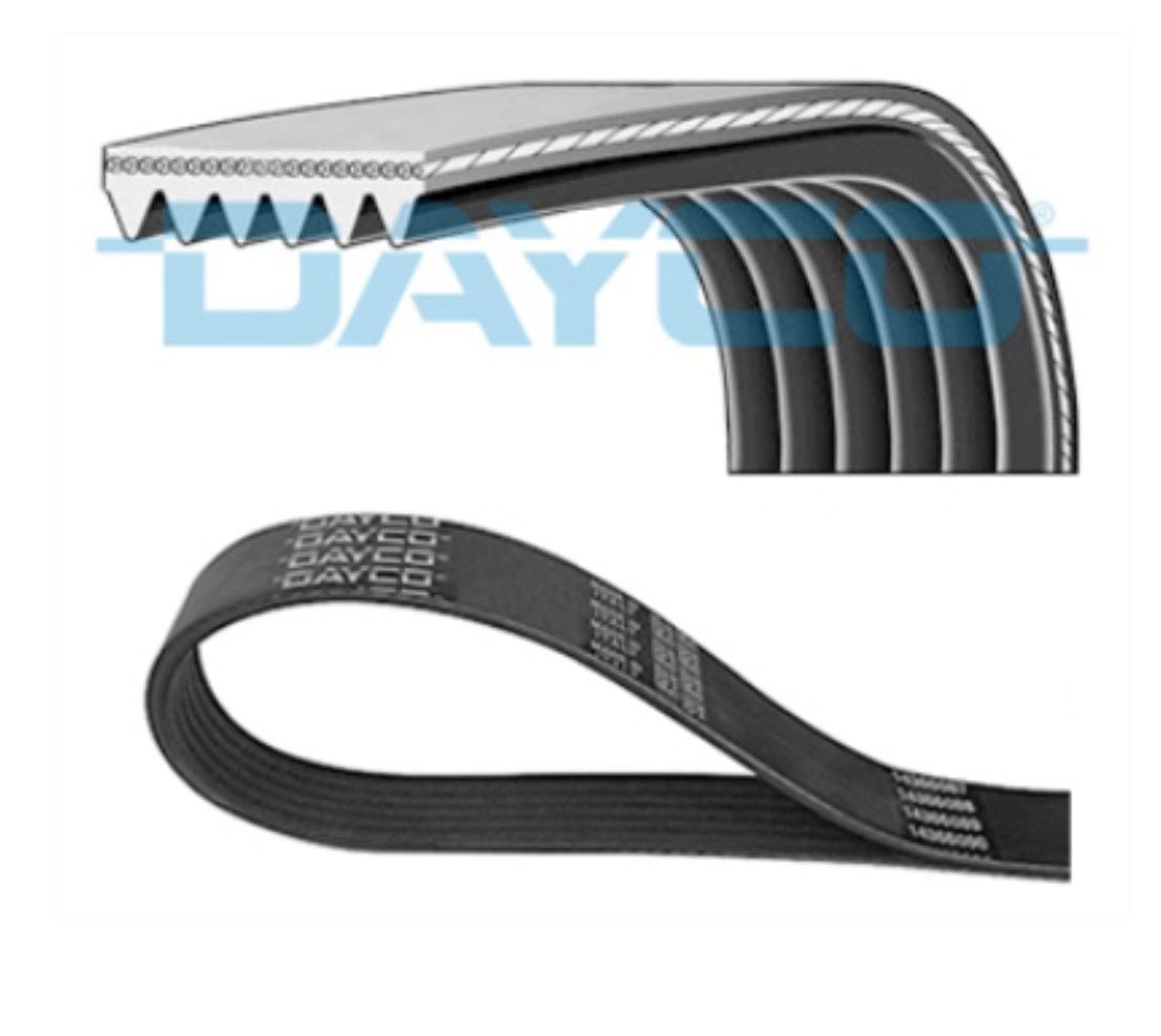 DAYCO 6PK1560 Kanallı V Kayışı