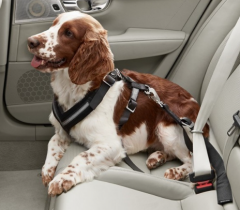 Volvo Köpek Kemeri ( Tasması ) 31470401