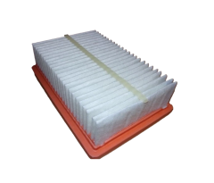 FILTRON AP133/9 Hava Filtresi 165464877R