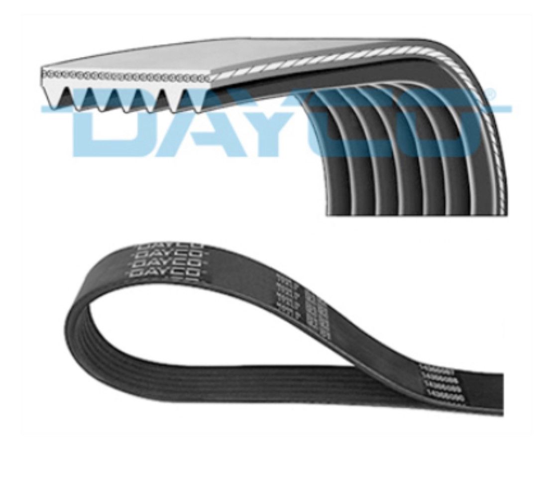 CLIO 5 1.3 TCe Kanallı V Kayışı DAYCO 7PK1180 : 117205123R