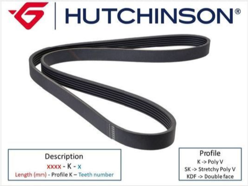 HUTCHINSON 6PK1564 V Kayışı