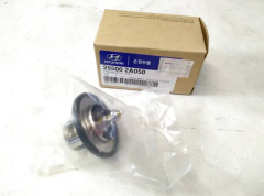 Kia / Hyundai Termostat 255002A050