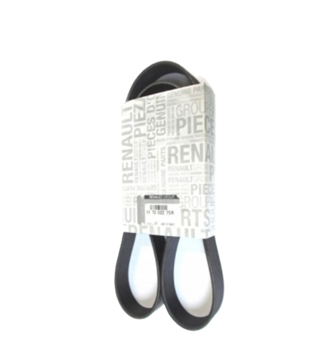 RENAULT DACIA NISSAN PEUGEOT CITROEN Jumper Boxer Megan 4 Qashqai Duster Clio 5 Captur Kanallı V Kayış 117203945R 117205156R  / 6PK1165