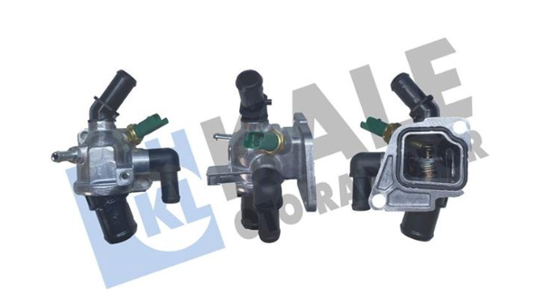 Kale 572365 Termostat Komple 55194271